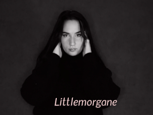Littlemorgane