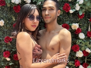 Lizyandmarks