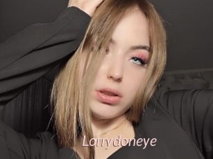 Lorrydoneye