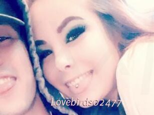 Lovebirds02477