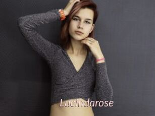 Lucindarose