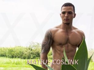 MATIUS_COSLINK