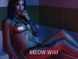 MEOW_Wild