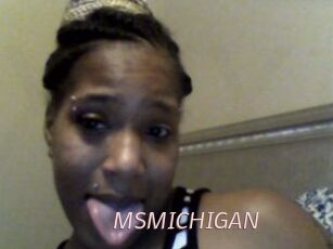 MSMICHIGAN