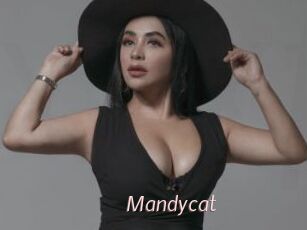 Mandycat