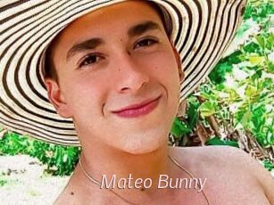 Mateo_Bunny