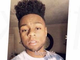 MeesLife