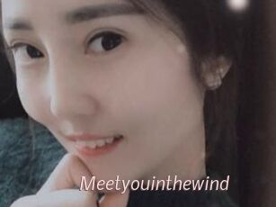 Meetyouinthewind
