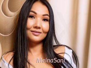MeinaSani