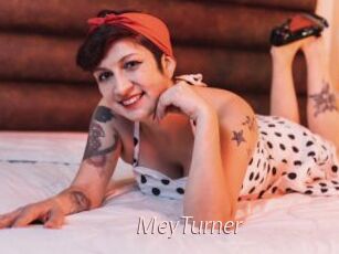 MeyTurner