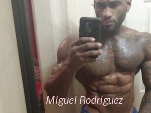 Miguel_Rodriguez