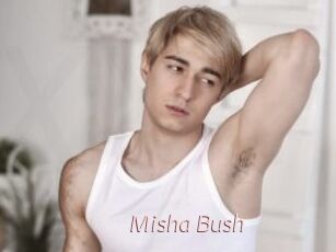 Misha_Bush