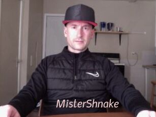 MisterShnake