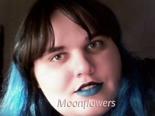 Moonflowers