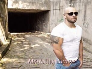 MorrisTheHumme