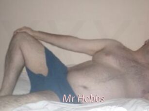 Mr_Hobbs