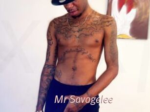 Mr_Savagelee