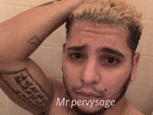 Mr_pervysage