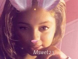 Mswet23