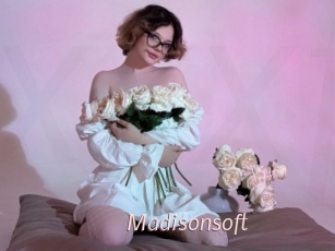 Madisonsoft