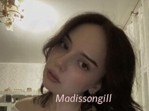 Madissongill