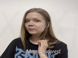 Magnoliaforest