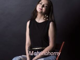 Malvinahorny