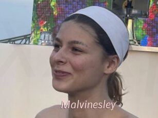 Malvinesley