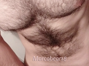Marcobear18