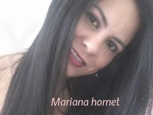 Mariana_hornet