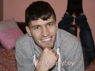 Mariohornyboy