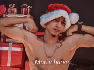 Martinharem