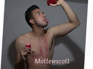 mattewscott xxx Free Sites