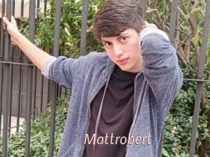 Mattrobert