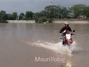 Maurillobig