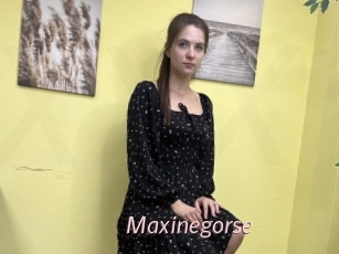 Maxinegorse