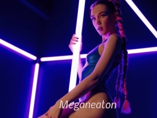Meganeaton