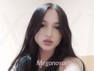 Meganosori