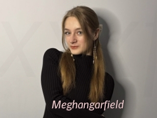 Meghangarfield