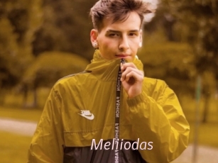 Meliiodas