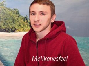 Melikanesfeel