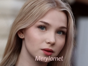 Merylarnet