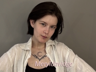 Meryldavidge