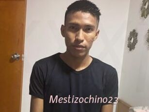 Mestizochino23