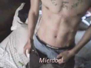 Mierdoel
