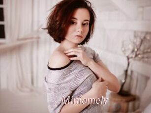 Miniamely