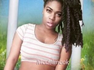 Modelmook