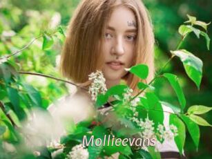 mollieevans xxx Free Sites