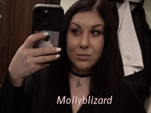 Mollyblizard