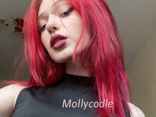 Mollycodle